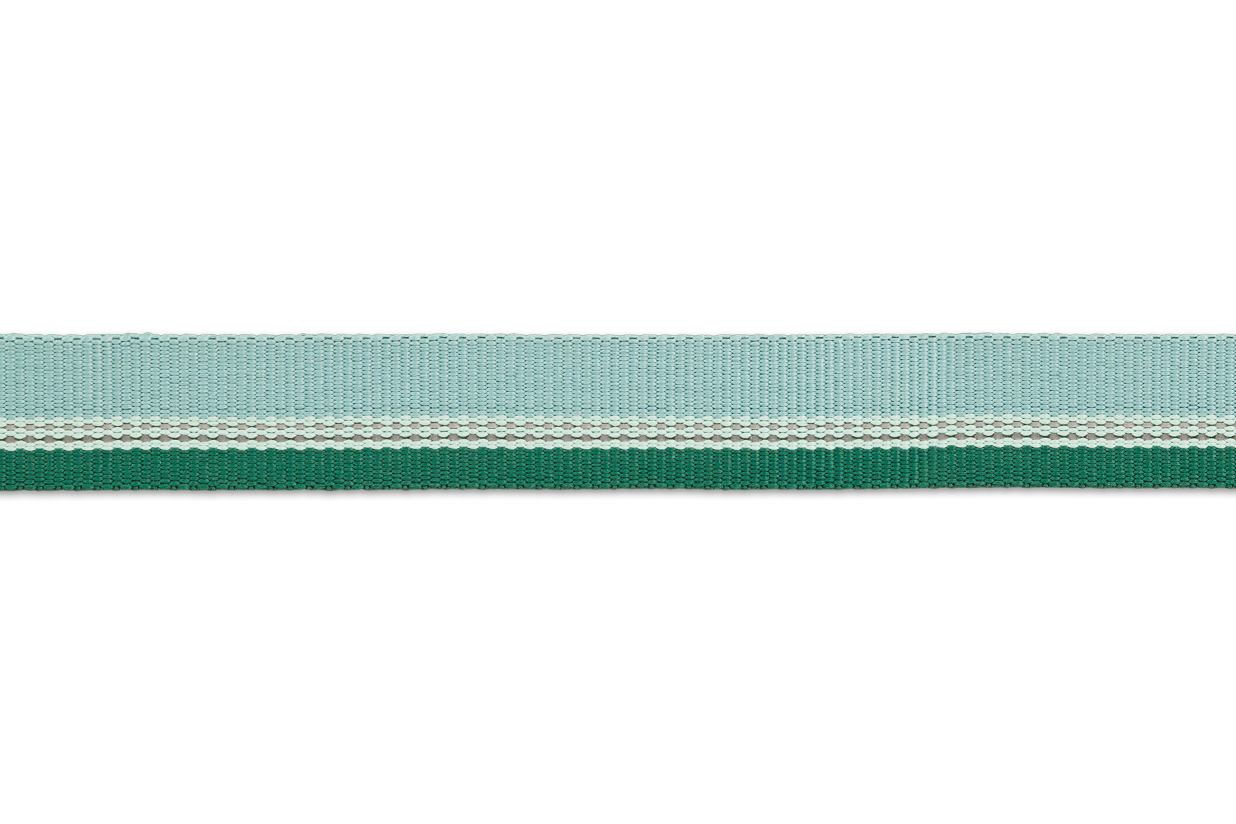 25703_Chain-Reaction-Collar_River-Rock-Green_WEBBING_SMALL_bca9043a-19ae-4097-a977-b57884c52a57.png