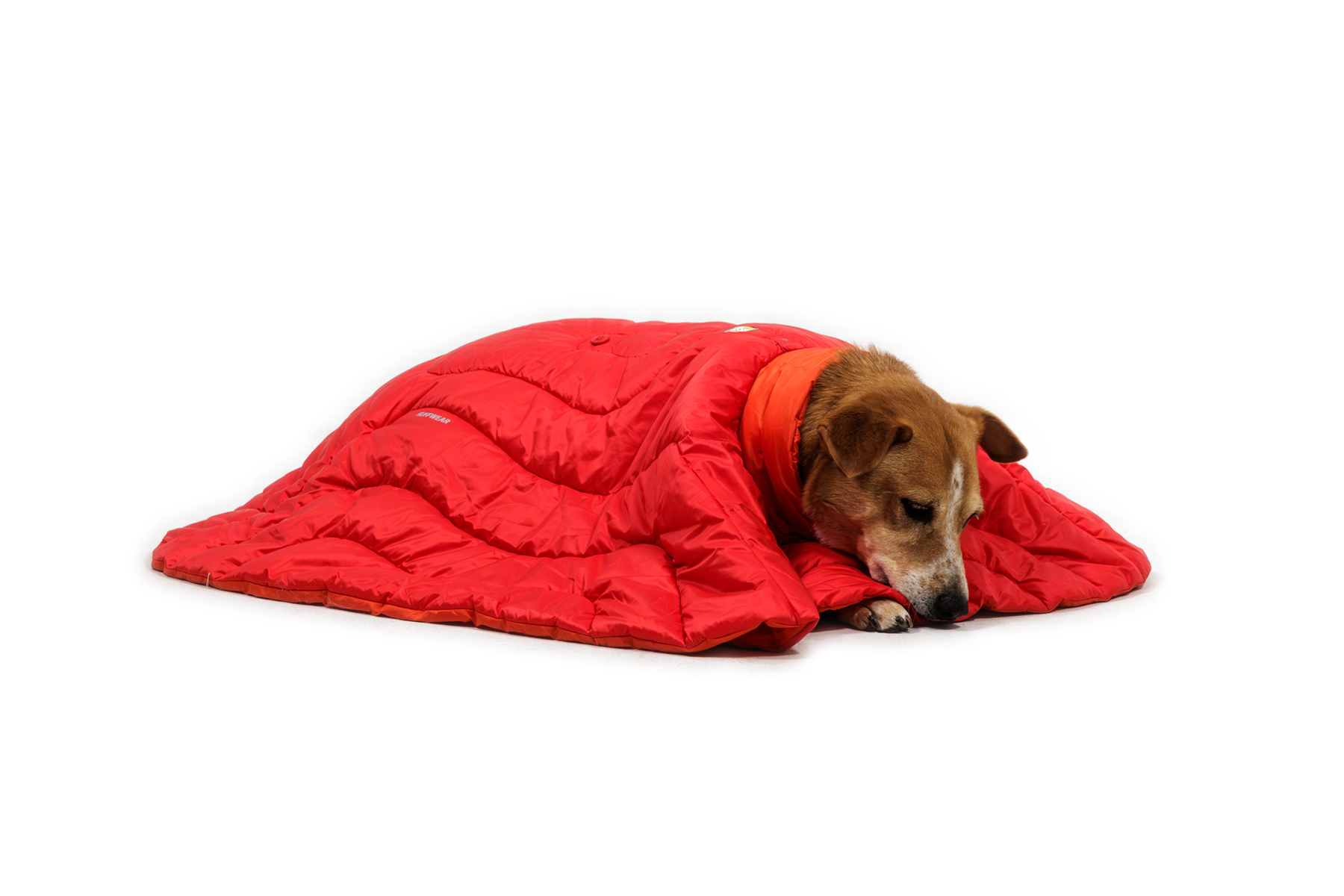 CompressedPNG-0525_Palisades-Poncho_Red-Currant_On-Dog-3_STUDIO.png